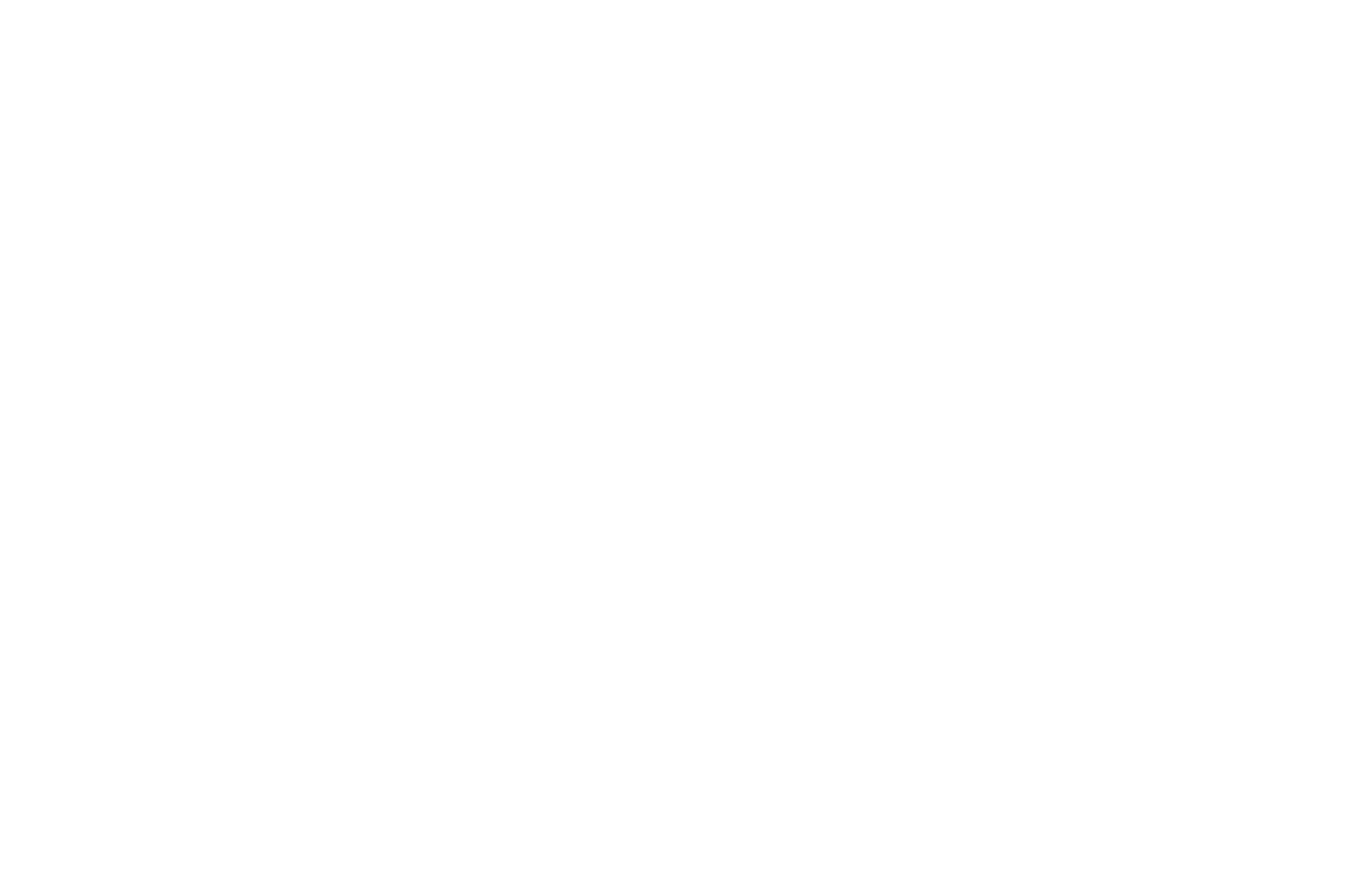 layer-31.png